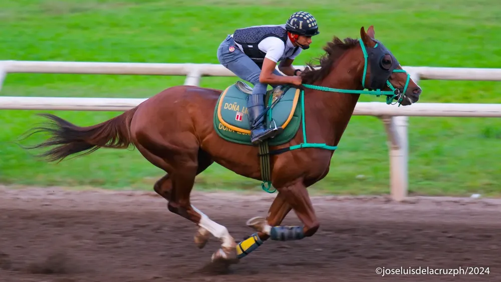 WhatsApp Image 2024-04-27 at 08.39.37