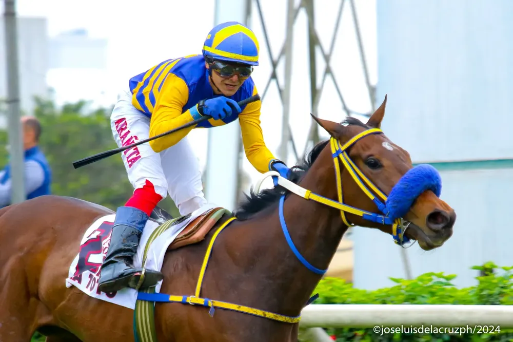 WhatsApp Image 2024-09-16 at 10.07.36 (2)