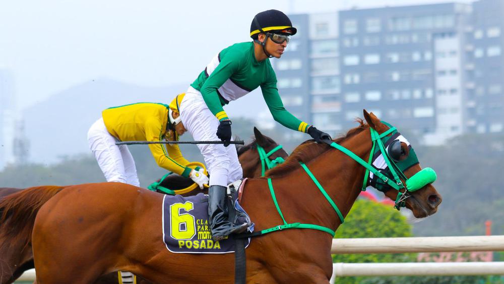 WhatsApp Image 2023-09-02 at 3.46.53 PM