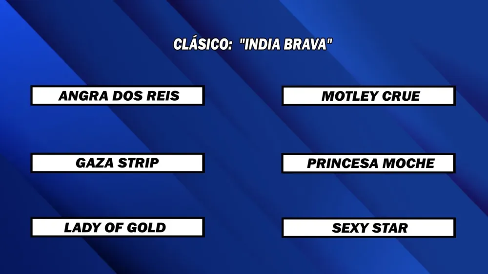 WhatsApp Image 2025-03-03 at 14.01.25