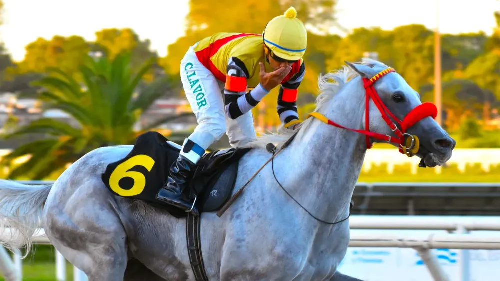 WhatsApp Image 2024-03-03 at 8.17.43 PM