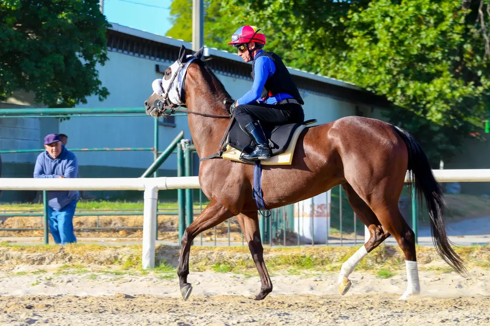 WhatsApp Image 2026-01-05 at 3.23.57 PM