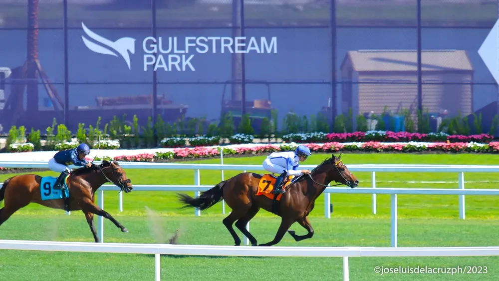 GULFSTREAM PARK - Foto: José Luis De La Cruz