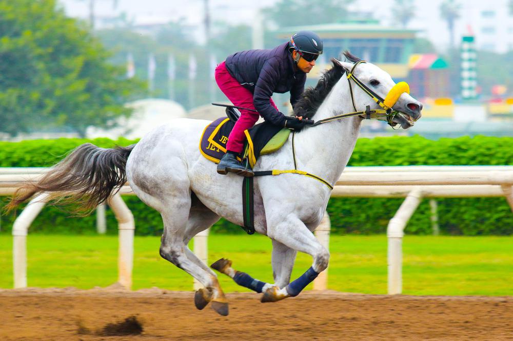 WhatsApp Image 2023-06-23 at 6.44.43 PM