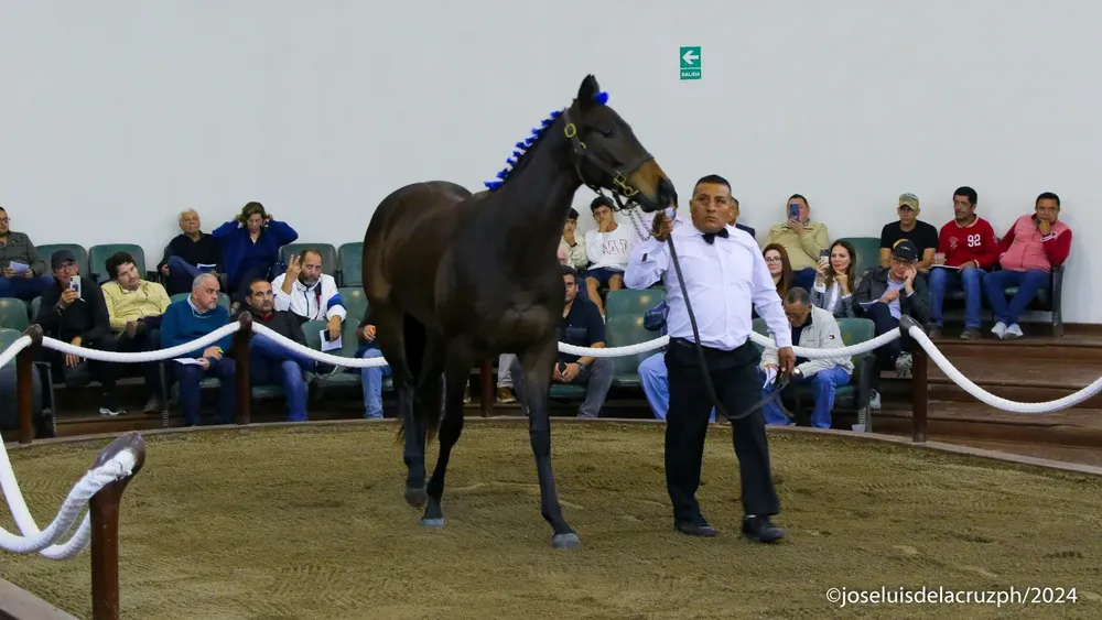 WhatsApp Image 2024-04-24 at 17.58.10