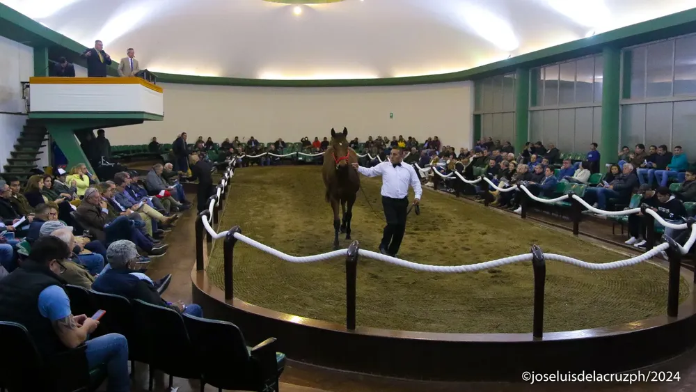 WhatsApp Image 2024-06-07 at 09.32.40