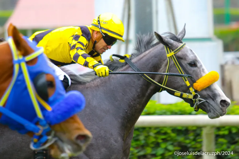 WhatsApp Image 2024-09-16 at 10.21.10 (1)