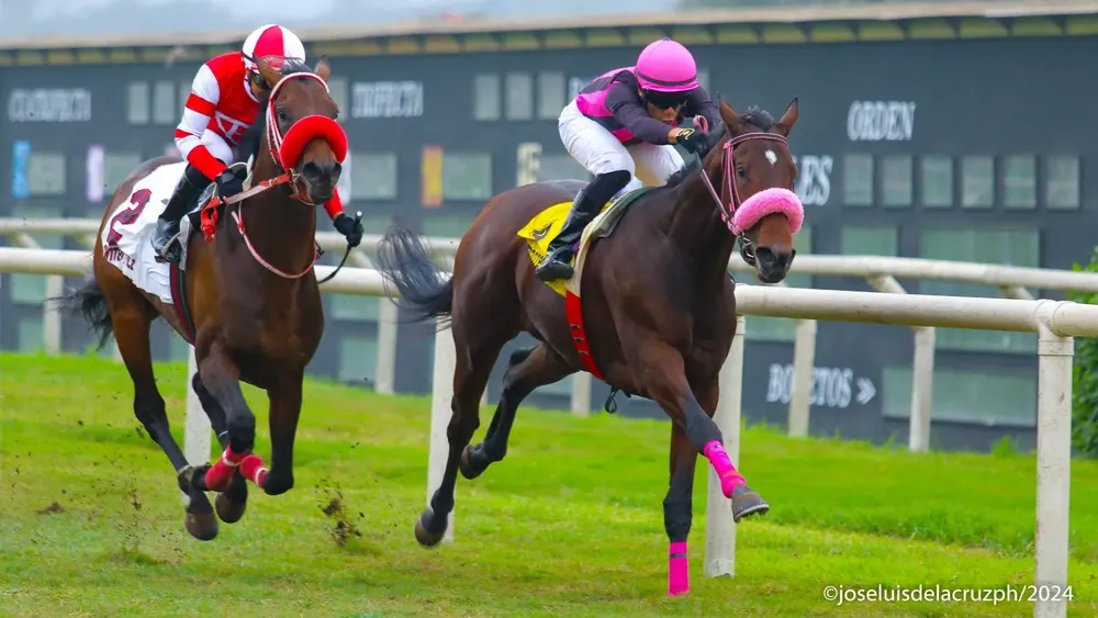 WhatsApp Image 2024-07-13 at 16.32.04