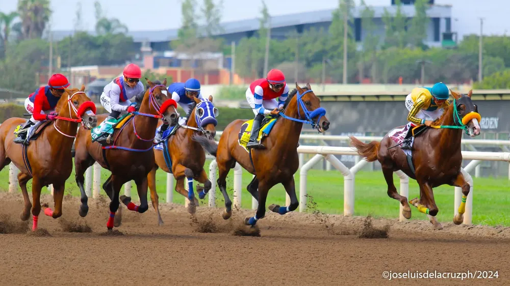 WhatsApp Image 2024-02-15 at 12.54.49 PM