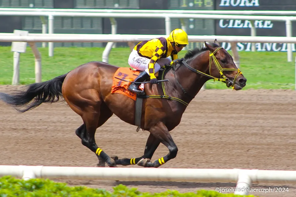 WhatsApp Image 2024-10-02 at 14.55.49