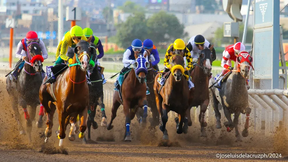 WhatsApp Image 2024-03-26 at 1.53.12 AM