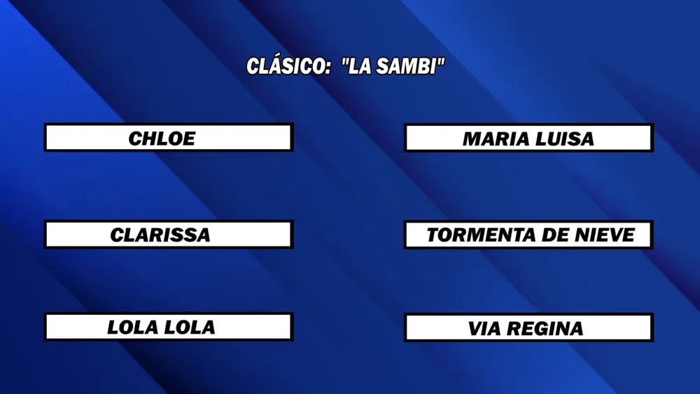 WhatsApp Image 2025-11-10 at 1.52.29 PM (1)