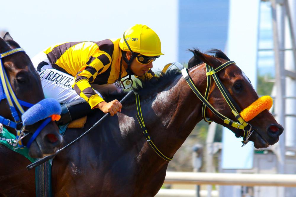 WhatsApp Image 2023-06-24 at 1.58.23 PM