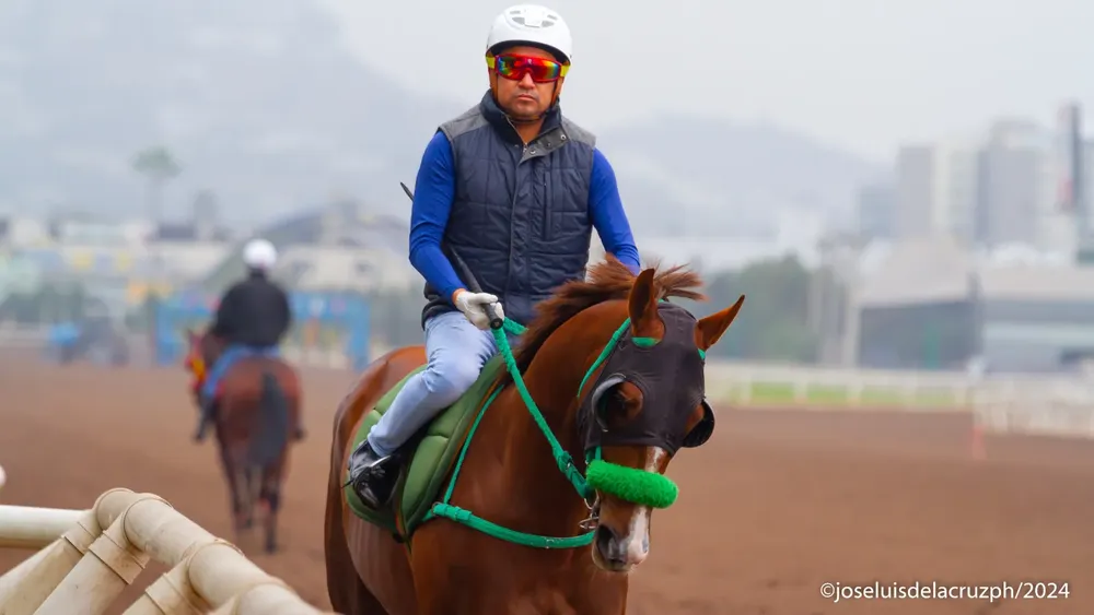 WhatsApp Image 2024-07-09 at 10.11.52