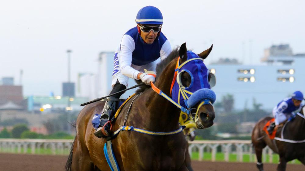 WhatsApp Image 2023-07-24 at 10.45.09 AM