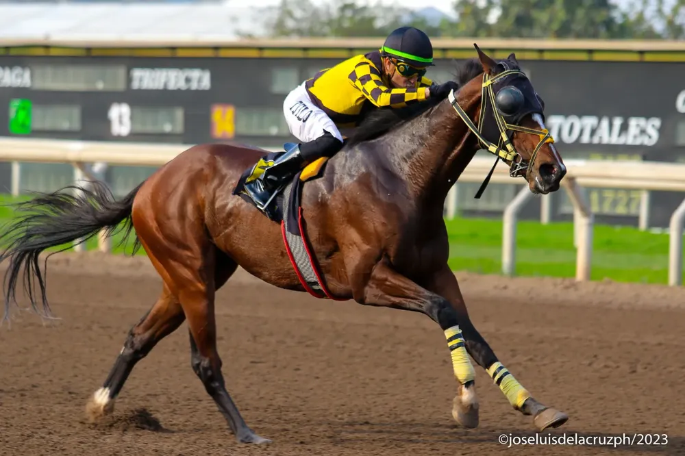 WhatsApp Image 2024-09-15 at 11.08.42