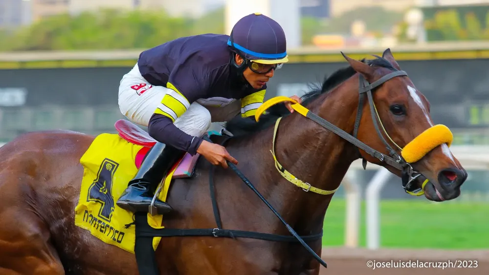 WhatsApp Image 2023-11-25 at 5.46.20 PM