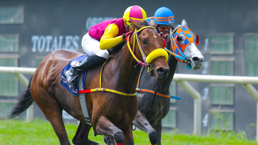 WhatsApp Image 2023-09-03 at 2.05.37 PM